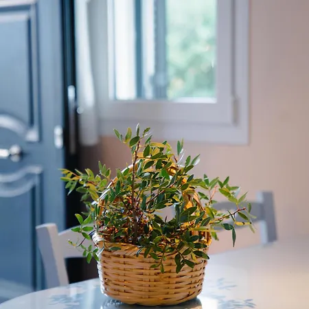 Yioka House ميكروس جيالوس